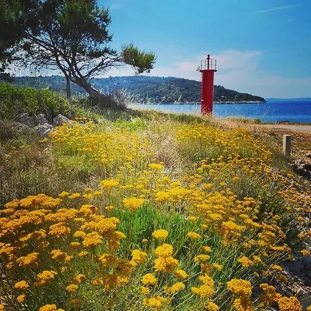 Lada, Rogac, Otok Solta Rogac