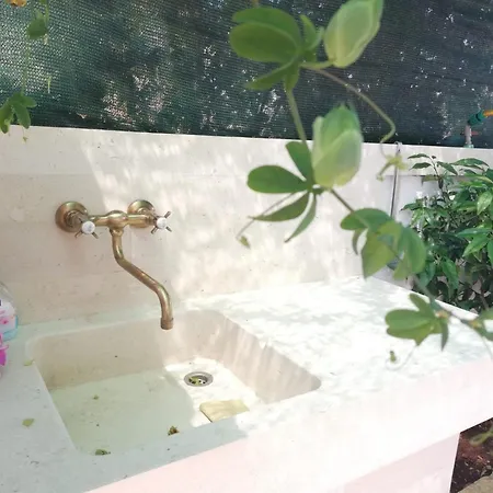 Lada, Rogac, Otok Solta Rogač