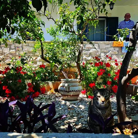 Lada, Rogac, Otok Solta * Rogač