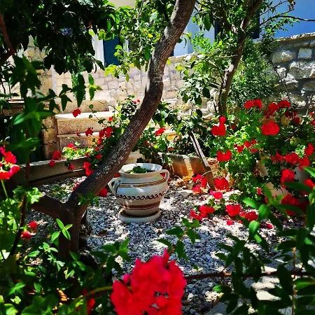 Lada, Rogac, Otok Solta Lejlighed Rogač