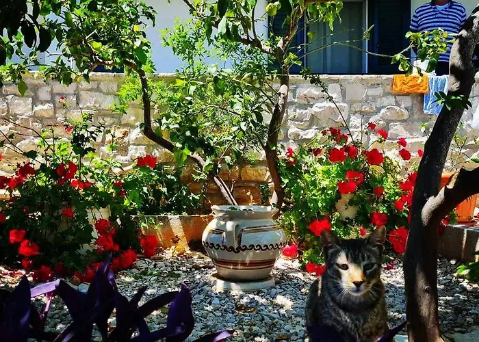 Lada, Rogac, Otok Solta * Rogač