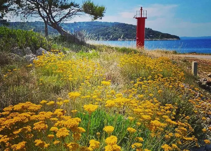Lada, Rogac, Otok Solta Rogač